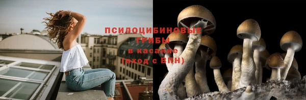 дживик Баксан