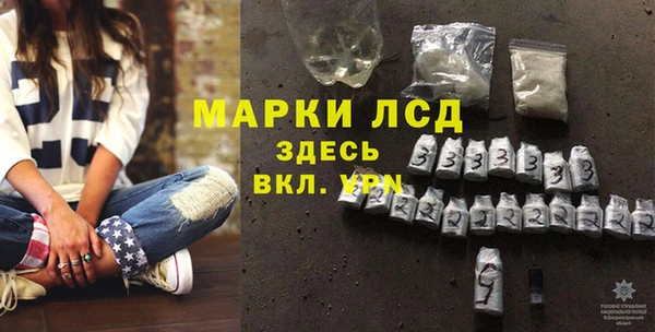 дживик Баксан