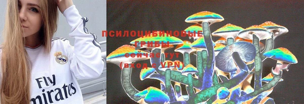 дживик Баксан