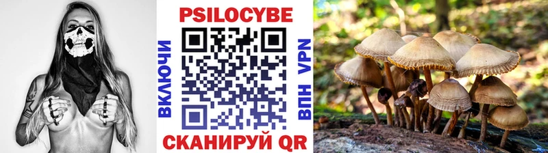 Купить где  Юрюзань  Галлюциногенные грибы Psilocybine cubensis 